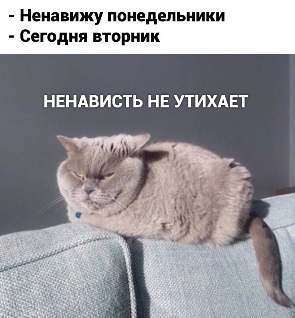 Ненавижу утро картинки