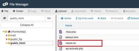 Расположение файла robots.txt в каталогах веб-сервера